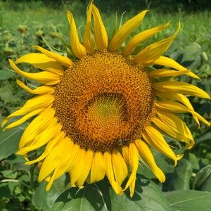 Meet your Posher, Andy